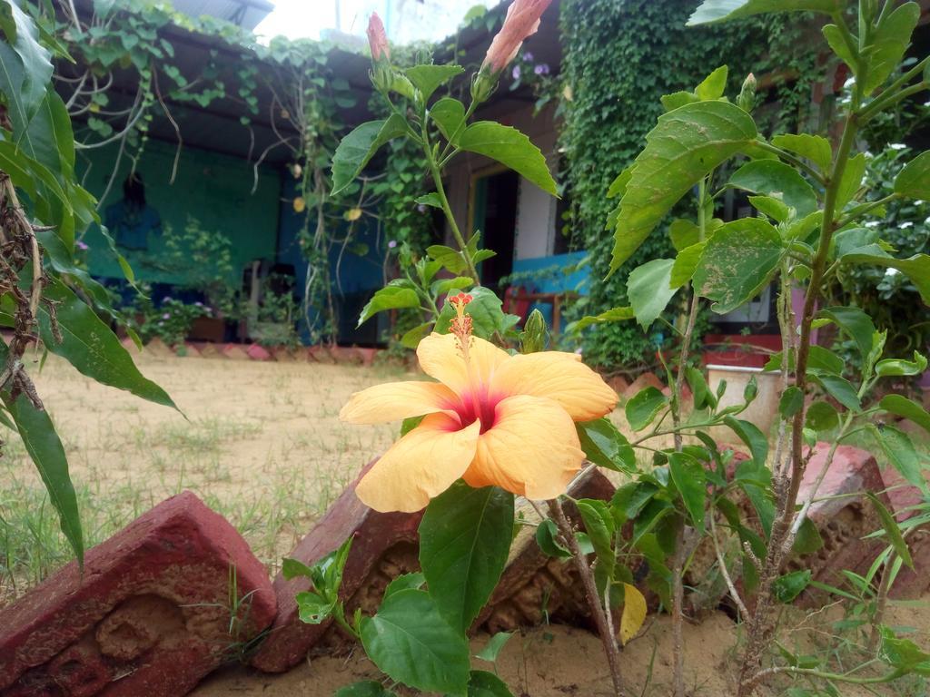 Rk Guest House Pushkar Luaran gambar